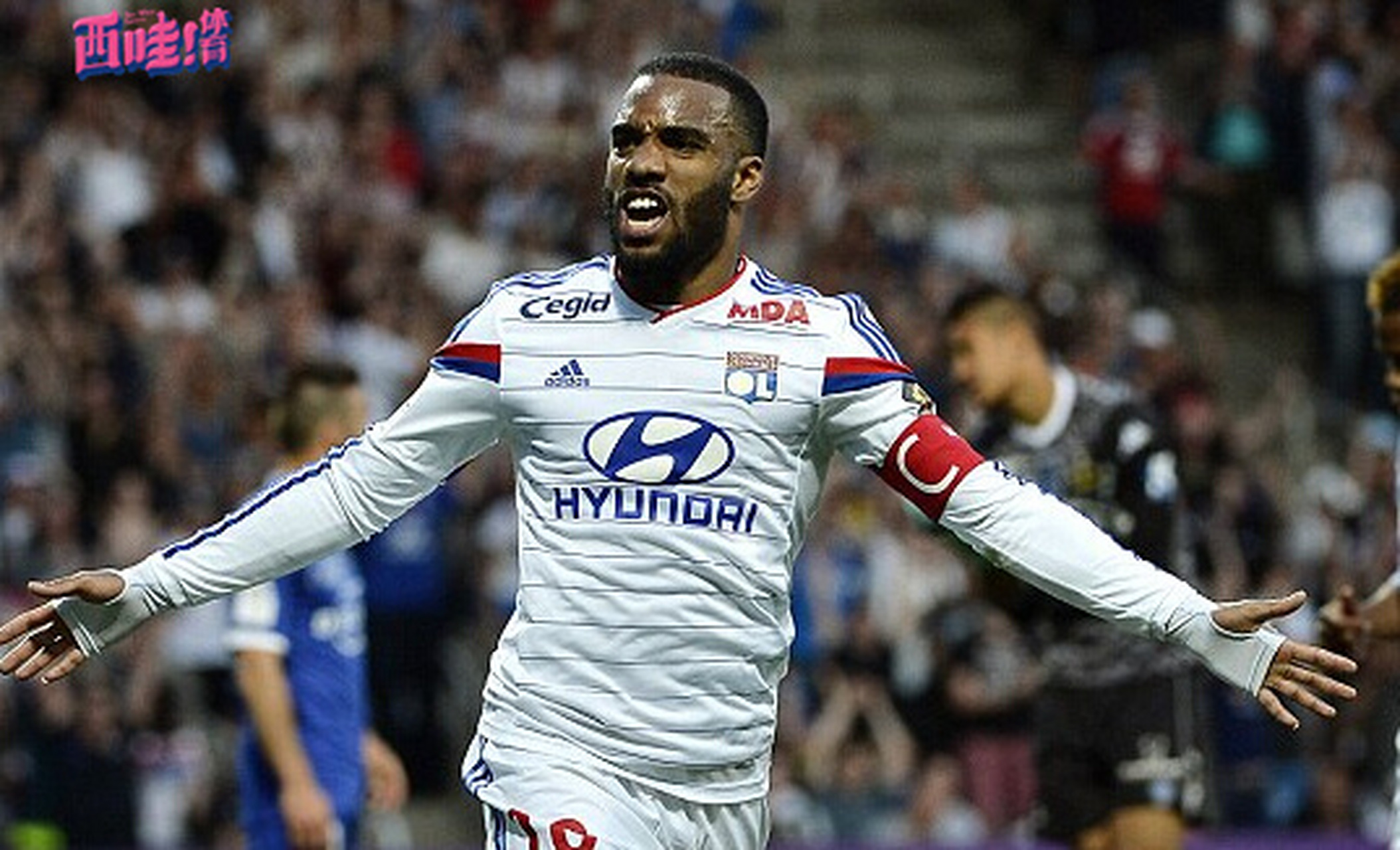 开云网页版 -从奥兰多魔术清晨完成体检到转会期里昂调整名单以备意大利杯，本菲卡今晚遗憾出局的简单介绍